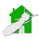 Expertise immobiliere Diagnostic termites